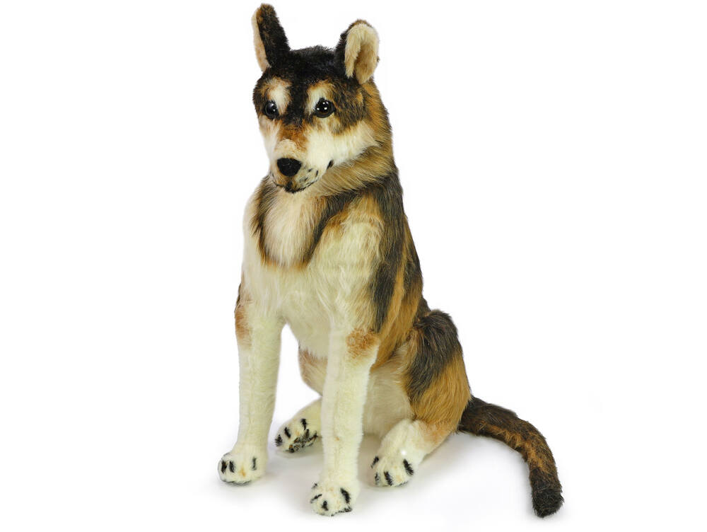 Plyšový pes husky s realistickou srstí 100 cm + ocas 55 cm