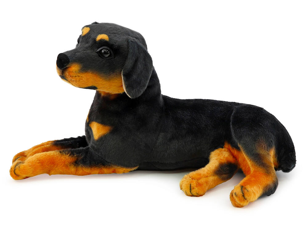 Plyšový pes rotvajler ležící 47 cm z kolekce andos Plyšová ZOO